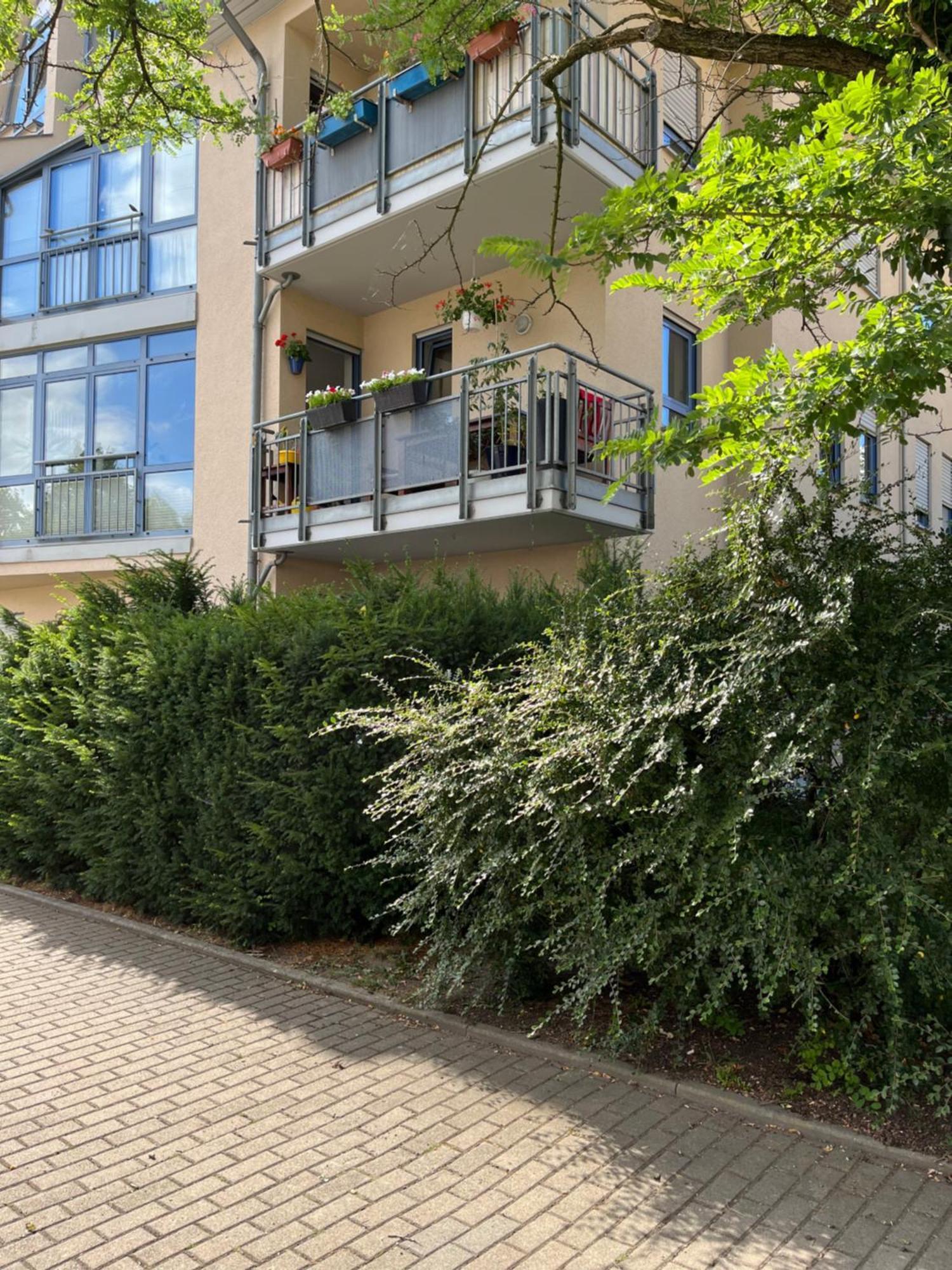 Aner 1 Stilvolle In Dresden-loschwitz Apartment