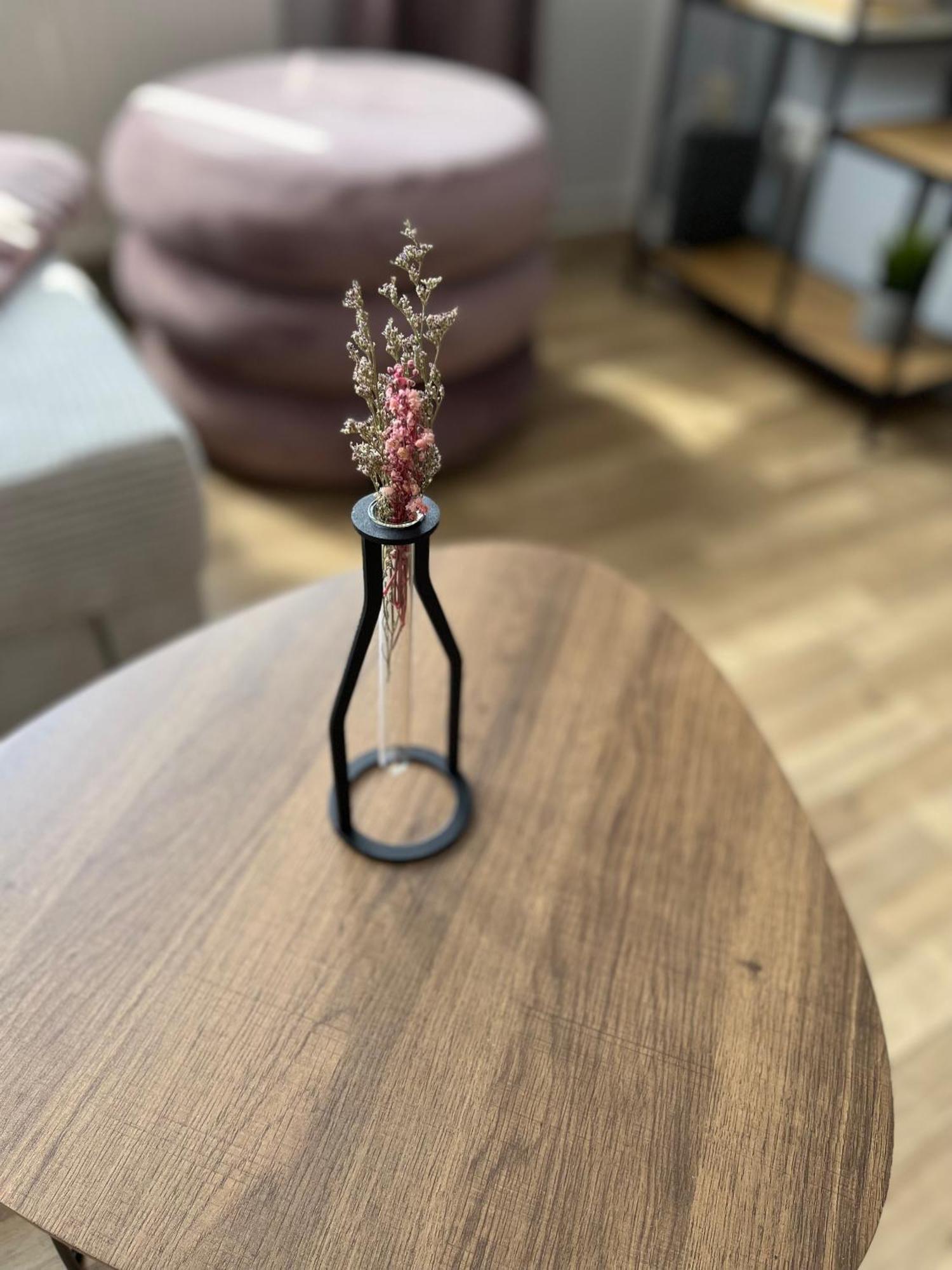 Apartment Aner 1 Stilvolle In Dresden-loschwitz Dresden
