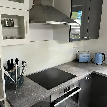 Aner 1 Stilvolle Ferienwohnung In Dresden-Loschwitz Extérieur photo