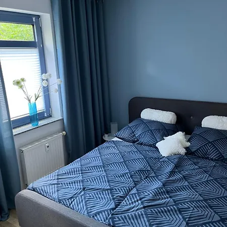 Aner 1 Stilvolle Ferienwohnung In Dresden-Loschwitz Extérieur photo