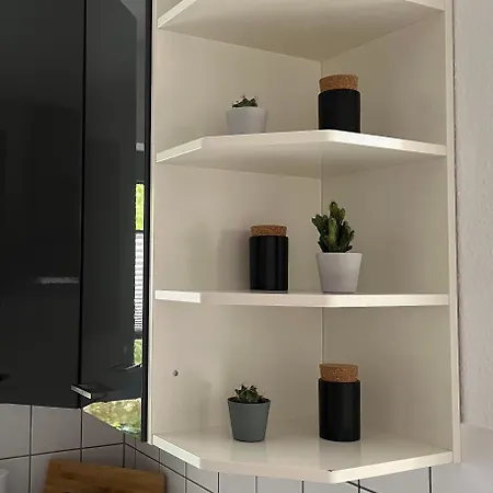 Aner 1 Stilvolle Ferienwohnung In Dresden-Loschwitz Extérieur photo